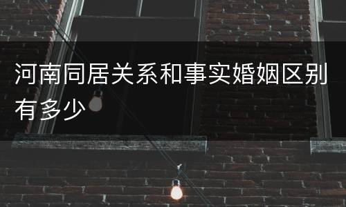 河南同居关系和事实婚姻区别有多少