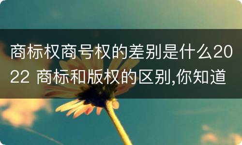 商标权商号权的差别是什么2022 商标和版权的区别,你知道多少?