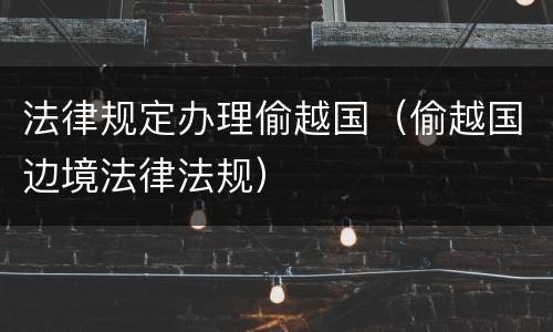 法律规定办理偷越国（偷越国边境法律法规）