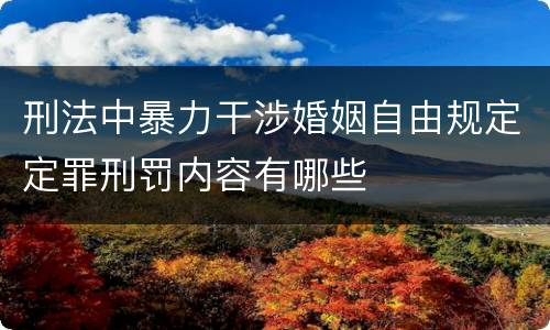 刑法中暴力干涉婚姻自由规定定罪刑罚内容有哪些