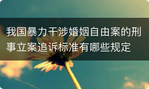 我国暴力干涉婚姻自由案的刑事立案追诉标准有哪些规定