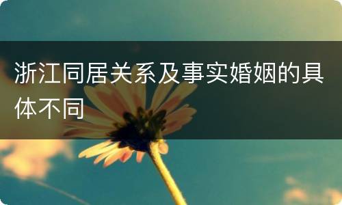 浙江同居关系及事实婚姻的具体不同