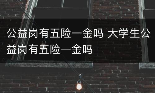 公益岗有五险一金吗 大学生公益岗有五险一金吗
