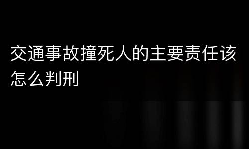 交通事故撞死人的主要责任该怎么判刑