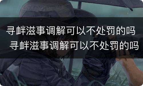 寻衅滋事调解可以不处罚的吗 寻衅滋事调解可以不处罚的吗法院