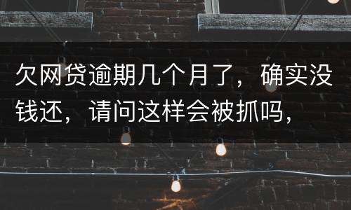 欠网贷逾期几个月了，确实没钱还，请问这样会被抓吗，