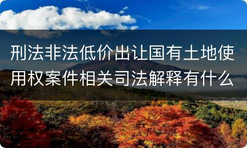 刑法非法低价出让国有土地使用权案件相关司法解释有什么重要规定
