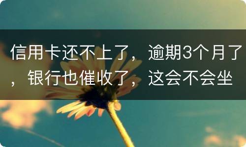 信用卡还不上了，逾期3个月了，银行也催收了，这会不会坐牢