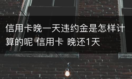 信用卡晚一天违约金是怎样计算的呢 信用卡 晚还1天