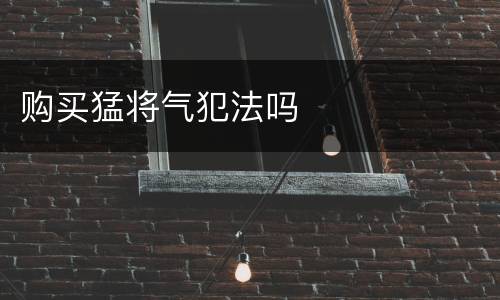购买猛将气犯法吗