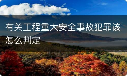 有关工程重大安全事故犯罪该怎么判定