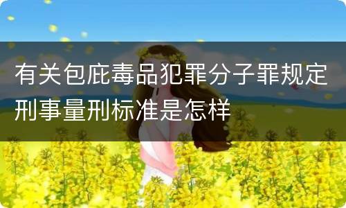 有关包庇毒品犯罪分子罪规定刑事量刑标准是怎样
