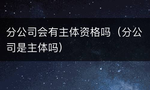 分公司会有主体资格吗（分公司是主体吗）