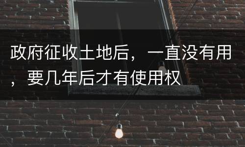 政府征收土地后，一直没有用，要几年后才有使用权