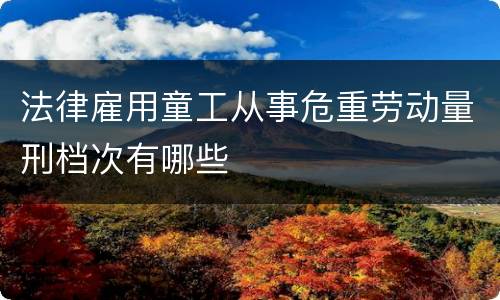 法律雇用童工从事危重劳动量刑档次有哪些