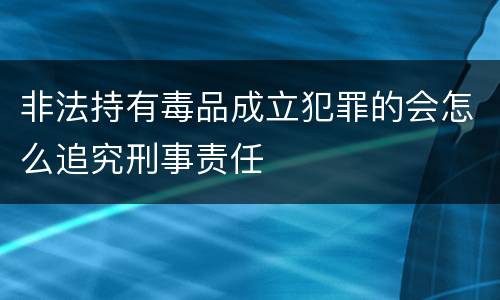 非法持有毒品成立犯罪的会怎么追究刑事责任