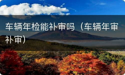 车辆年检能补审吗（车辆年审补审）