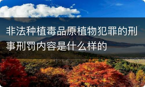 非法种植毒品原植物犯罪的刑事刑罚内容是什么样的
