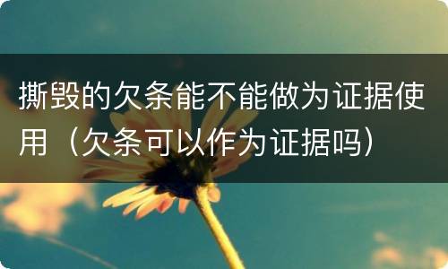 撕毁的欠条能不能做为证据使用（欠条可以作为证据吗）