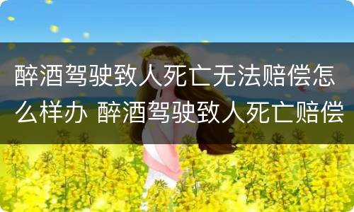 醉酒驾驶致人死亡无法赔偿怎么样办 醉酒驾驶致人死亡赔偿多少钱