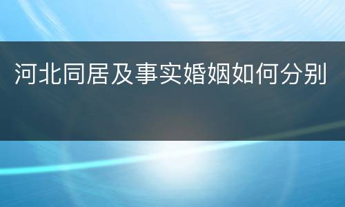 河北同居及事实婚姻如何分别