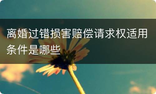 离婚过错损害赔偿请求权适用条件是哪些