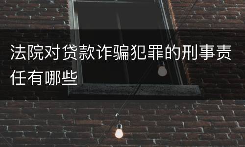 法院对贷款诈骗犯罪的刑事责任有哪些