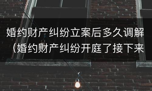 婚约财产纠纷立案后多久调解（婚约财产纠纷开庭了接下来怎么办）
