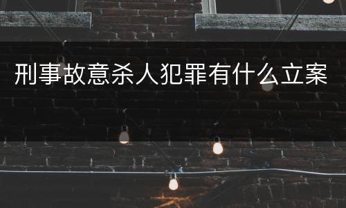 刑事故意杀人犯罪有什么立案