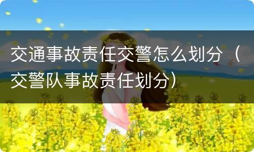 交通事故责任交警怎么划分（交警队事故责任划分）