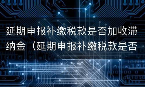 延期申报补缴税款是否加收滞纳金（延期申报补缴税款是否加收滞纳金和滞纳金）