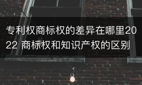 专利权商标权的差异在哪里2022 商标权和知识产权的区别