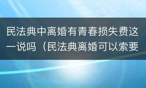 民法典中离婚有青春损失费这一说吗（民法典离婚可以索要青春损失费吗）