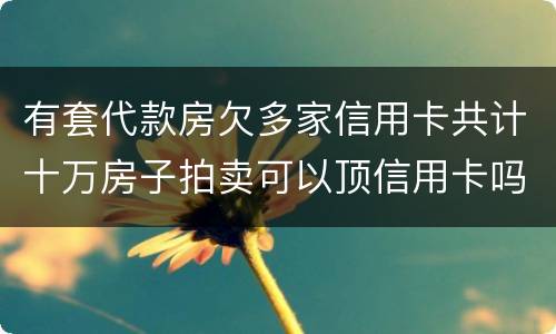 有套代款房欠多家信用卡共计十万房子拍卖可以顶信用卡吗