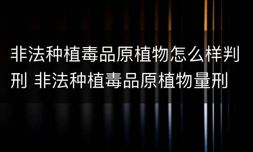 非法种植毒品原植物怎么样判刑 非法种植毒品原植物量刑