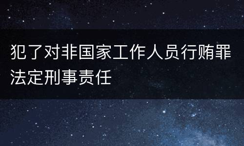 犯了对非国家工作人员行贿罪法定刑事责任