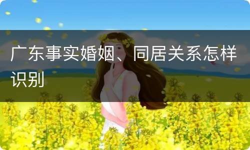 广东事实婚姻、同居关系怎样识别