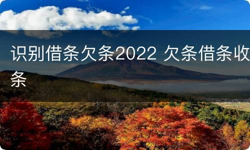 识别借条欠条2022 欠条借条收条