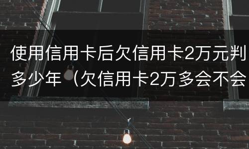 使用信用卡后欠信用卡2万元判多少年（欠信用卡2万多会不会坐牢）