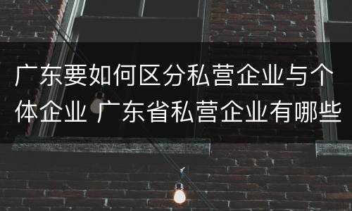 广东要如何区分私营企业与个体企业 广东省私营企业有哪些