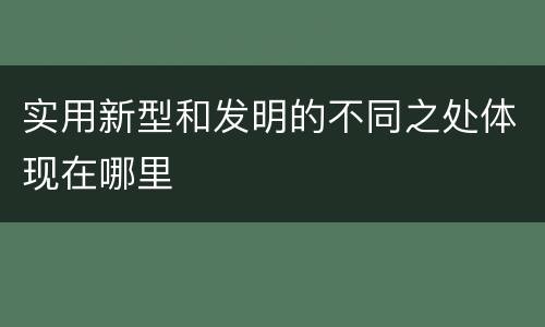 实用新型和发明的不同之处体现在哪里
