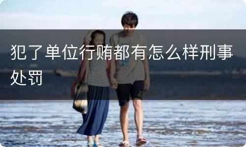 犯了单位行贿都有怎么样刑事处罚