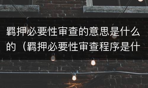 羁押必要性审查的意思是什么的（羁押必要性审查程序是什么意思）