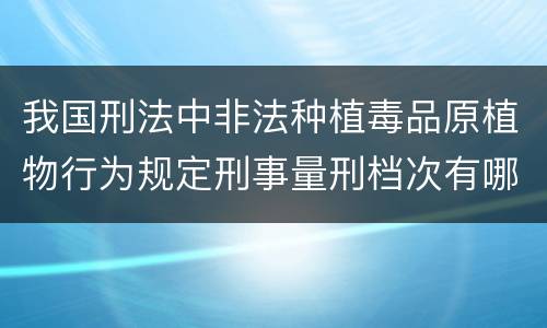 我国刑法中非法种植毒品原植物行为规定刑事量刑档次有哪些