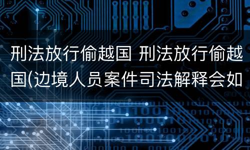 刑法放行偷越国 刑法放行偷越国(边境人员案件司法解释会如何规定
