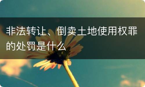 非法转让、倒卖土地使用权罪的处罚是什么