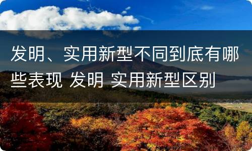发明、实用新型不同到底有哪些表现 发明 实用新型区别