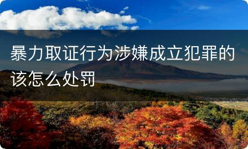 暴力取证行为涉嫌成立犯罪的该怎么处罚