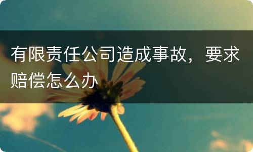 有限责任公司造成事故，要求赔偿怎么办