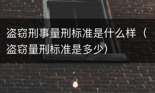 盗窃刑事量刑标准是什么样（盗窃量刑标准是多少）
